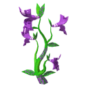 Snapdragon