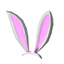 Bunnycomb Ears