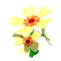 In-game icon for buttercup